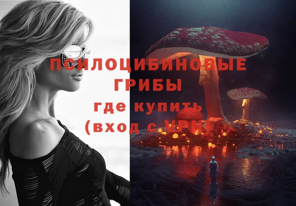 PSILOCYBIN Надым