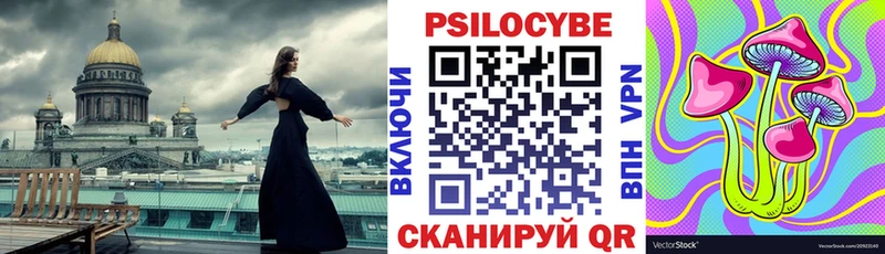 Псилоцибиновые грибы Psilocybine cubensis  Наволоки 
